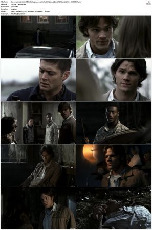 Supernatural S01 S15 WEBRip EAC3 2 0 1080p x265-iVy