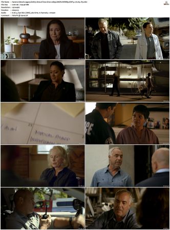 Bosch Legacy S01 S02 SUPER-PACK 1080p AMZN WEBRip DDP 5 1 x265-iVy