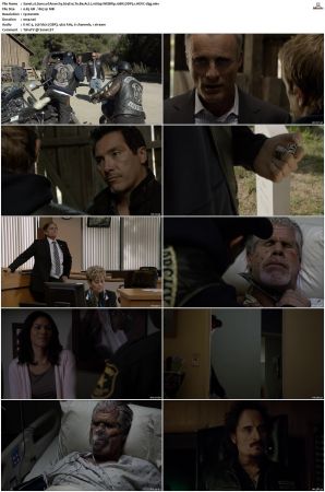 Sons of Anarchy S01-S07 SUPER-PACK 1080p WEBRip 10Bit DDP5.1 HEVC-d3g