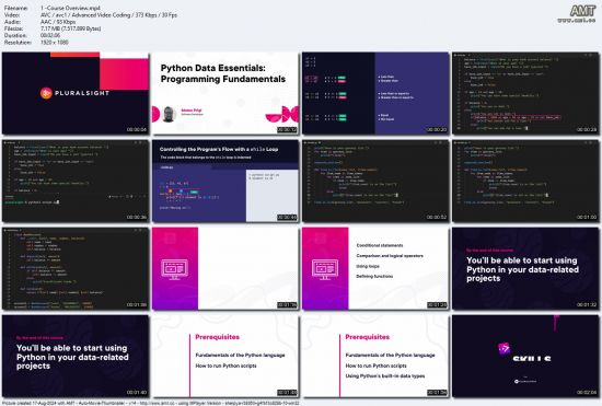 Python Data Essentials: Programming Fundamentals