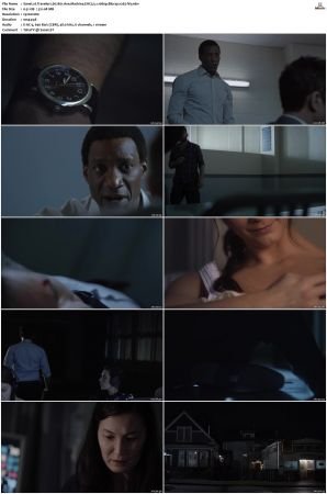 Travelers 2016 S01 S03 Bluray-WEB EAC3 5 1 1080p x265-iVy