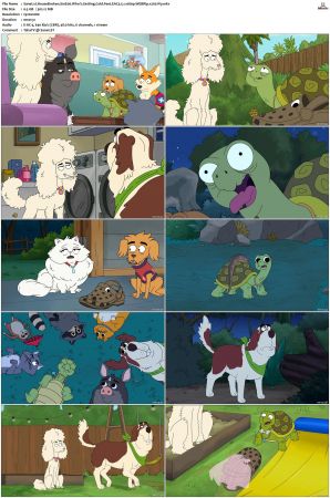 HouseBroken S01 S02 WEBRip EAC3 5 1 1080p x265-iVy