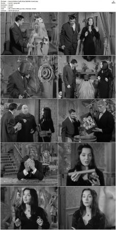 The Addams Family 1964 S01-S02 DVDRip X264-NGP
