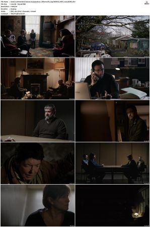 Hinterland 2013 S01 S03 720p WEB-DL HEVC x265 BONE