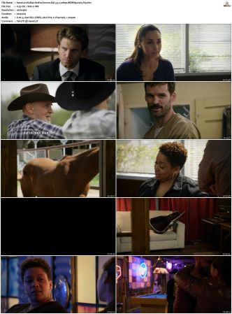 Walker S01 S04 WEBRip EAC3 5 1 1080p x265-iVy