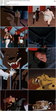 Batman The Animated Series S01-S04 MULTi 1080p WEB-DL H265 DDP2.0-CiNEMiX