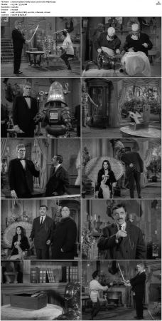 The Addams Family 1964 S01-S02 DVDRip X264-NGP