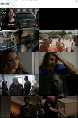 Sons of Anarchy S01-S07 SUPER-PACK 1080p WEBRip 10Bit DDP5.1 HEVC-d3g