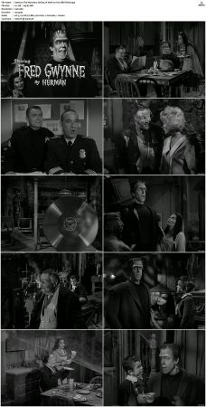 The Munsters 1964 S01 S02 DVDRip MPEG-NGP