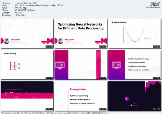 Optimizing Neural Networks for Efficient Data Processing