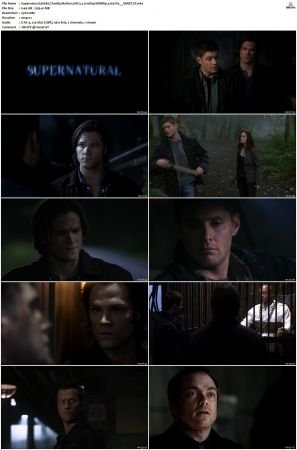 Supernatural S01 S15 WEBRip EAC3 2 0 1080p x265-iVy