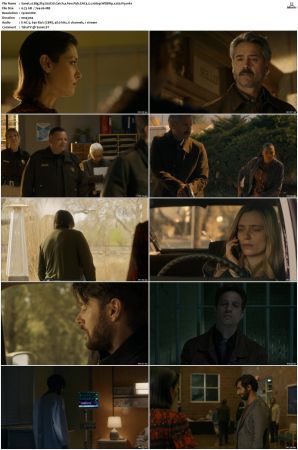 Big Sky S01-S03 1080p WEBRip EAC3 5.1 x265-iVy