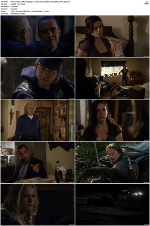Sons of Anarchy S01 S07 SUPER-PACK 1080p WEBRip 10Bit DDP5 1 HEVC-d3g