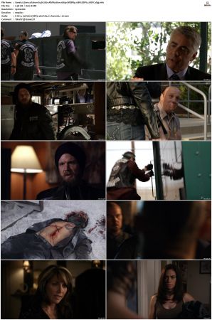 Sons of Anarchy S01 S07 SUPER-PACK 1080p WEBRip 10Bit DDP5 1 HEVC-d3g
