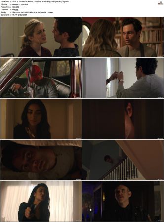 You S01 S04 1080p NF WEBRip DDP 5 1 x265-iVy