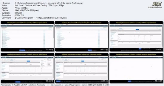 Become SAP Ariba Certified Consultant Spend Analysis