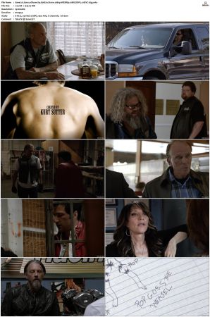 Sons of Anarchy S01-S07 SUPER-PACK 1080p WEBRip 10Bit DDP5.1 HEVC-d3g