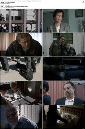 Sons of Anarchy S01-S07 SUPER-PACK 1080p WEBRip 10Bit DDP5.1 HEVC-d3g