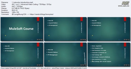 Mulesoft Mule 4.7 Hands-on learning from Zero to One