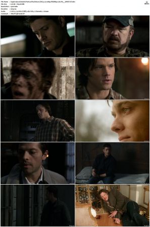 Supernatural S01 S15 WEBRip EAC3 2 0 1080p x265-iVy