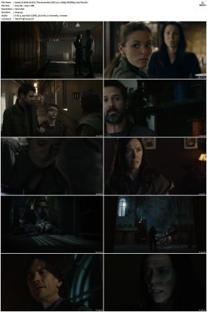 Helix S01 S02 WEBRip EAC3 5 1 1080p x265-iVy