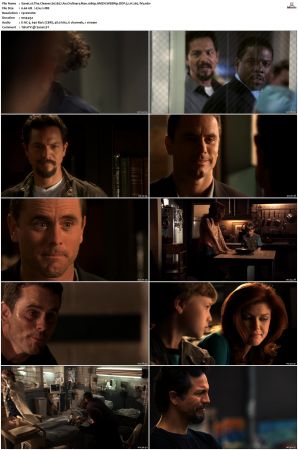 The Cleaner S01 S02 1080p AMZN WEBRip DDP 5 1 x265-iVy
