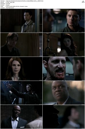 Supernatural S01 S15 WEBRip EAC3 2 0 1080p x265-iVy