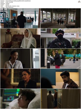 DI Ray 2022 S01 S02 720p WEB-DL HEVC x265 BONE