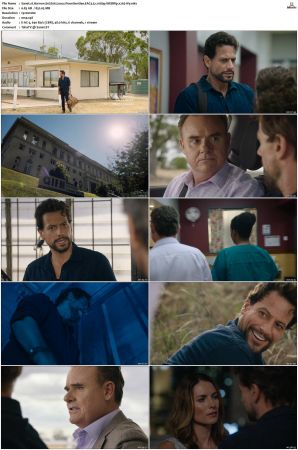 Harrow S01 S03 WEBRip EAC3 5 1 1080p x265-iVy