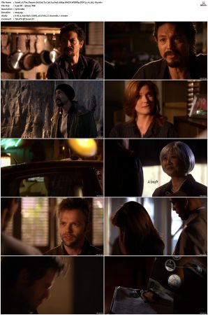 The Cleaner S01 S02 1080p AMZN WEBRip DDP 5 1 x265-iVy