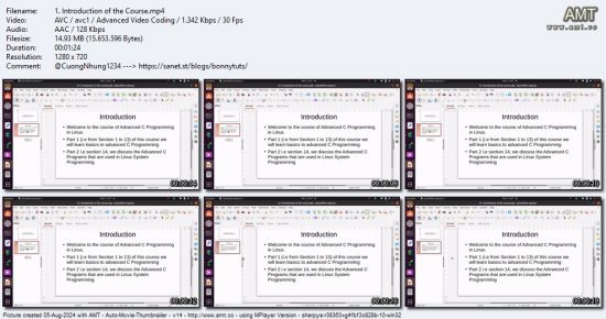 Advanced C Programming in Linux Environment