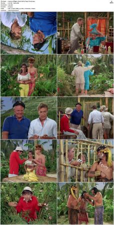 Gilligans Island S01 S03 DVDRip H264-NGP