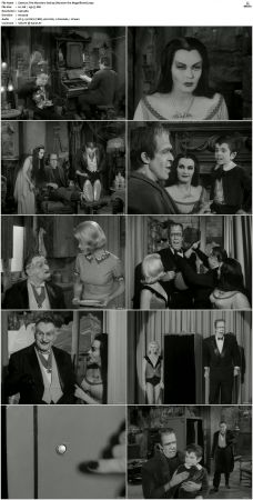 The Munsters 1964 S01 S02 DVDRip MPEG-NGP