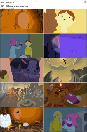 Adventure Time 2008 S01-S10 + Fionna and Cake 1080p Bluray EAC3 2.0 x265-iVy