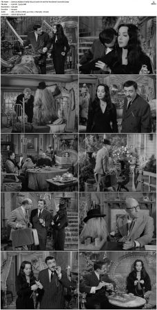 The Addams Family 1964 S01-S02 DVDRip X264-NGP