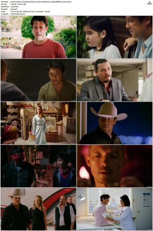 Almost Paradise S01 S02 WEBRip EAC3 5 1 1080p x265-iVy