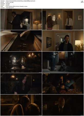 Servant 2019 S01 S04 WEBRip EAC3 5 1 1080p x265-iVy
