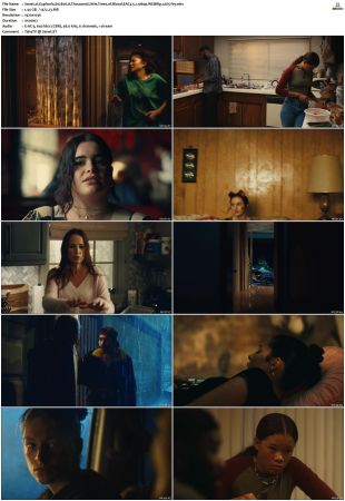 Euphoria S01 S02 WEBRip EAC3 5 1 1080p x265-iVy