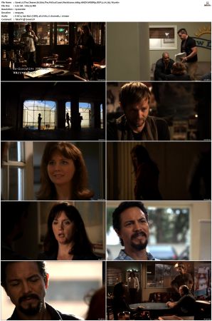 The Cleaner S01 S02 1080p AMZN WEBRip DDP 5 1 x265-iVy