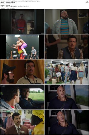 Young Rock S01 S03 SUPER-PACK 1080p BluRay-WEB DDP 5 1 x265-iVy