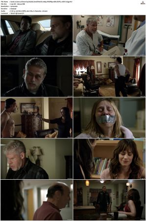 Sons of Anarchy S01-S07 SUPER-PACK 1080p WEBRip 10Bit DDP5.1 HEVC-d3g