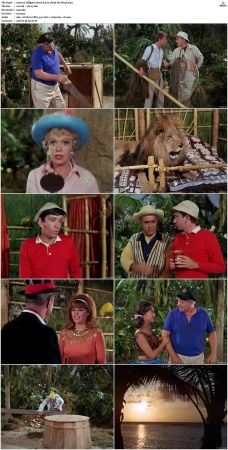 Gilligans Island S01 S03 DVDRip H264-NGP