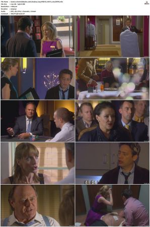 Hotel Babylon 2006 S01 S04 720p WEB-DL HEVC x265 BONE