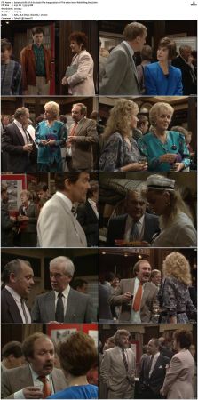 A Bit Of A Do S01 S02 SUPER-PACK 560p WEB x264-NGP