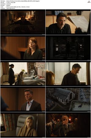 Professor T 2021 S01 S03 1080p WEBRip 10Bit DDP2 0 HEVC-d3g