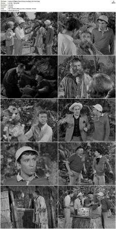 Gilligans Island S01 S03 DVDRip H264-NGP