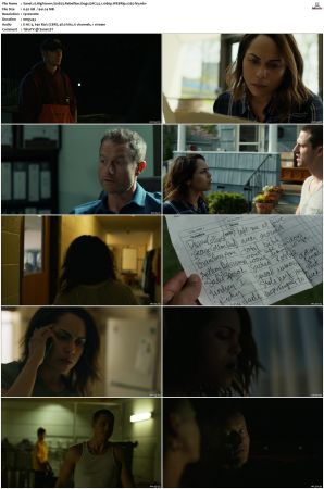 Hightown S01 S03 WEBRip EAC3 5 1 1080p x265-iVy