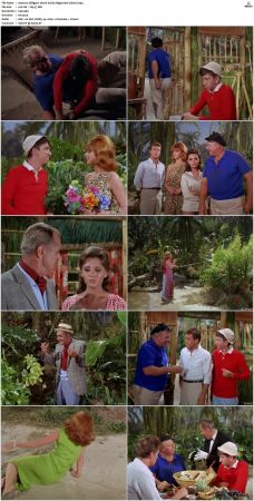 Gilligans Island S01 S03 DVDRip H264-NGP