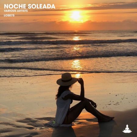 Various Artists - Noche Soleada (2024)