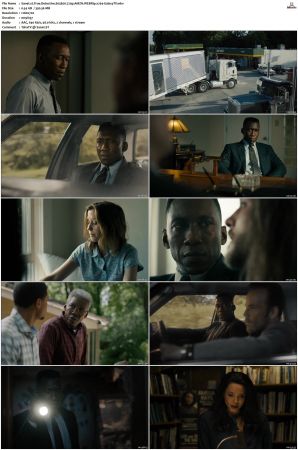True Detective S01-S04 COMPLETE 720p BluRay x264-GalaxyTV